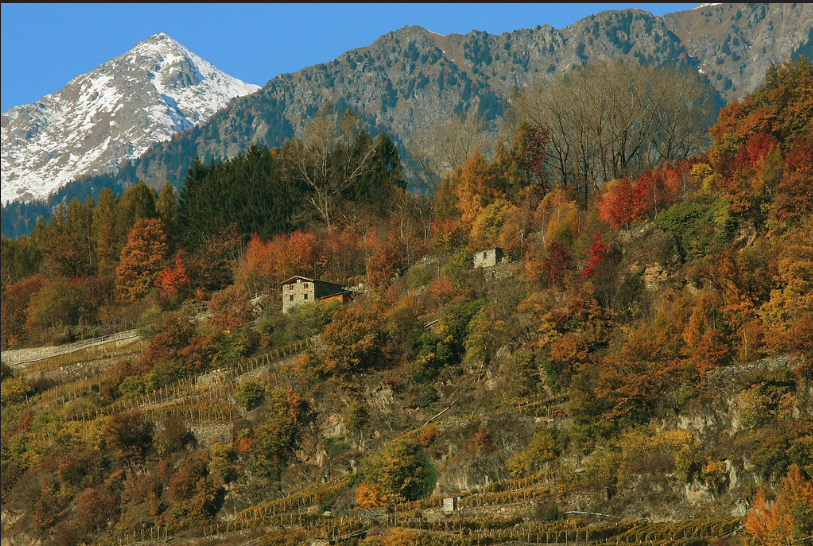 valtellina alps,autumn,maestic scenary