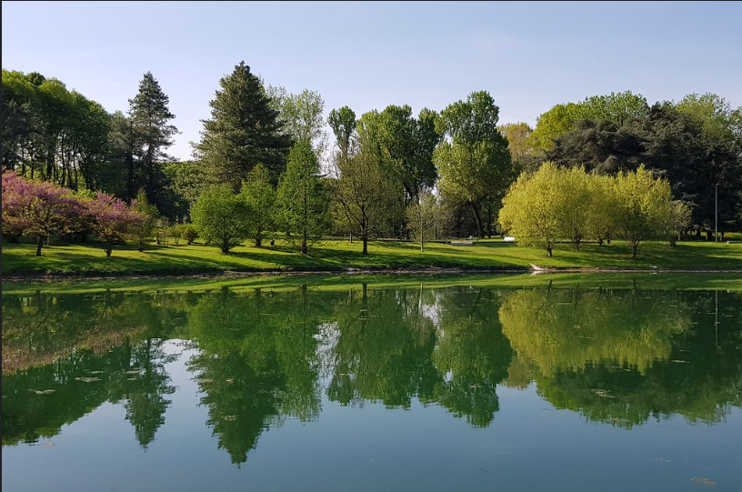 park with lake side view naviglio