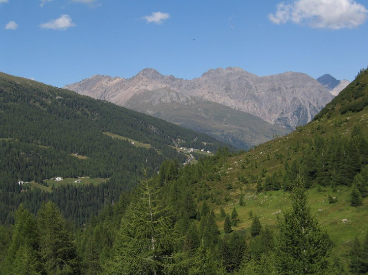 Val Viola, Bormio