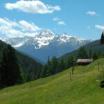 val zebru stelvio national park italy