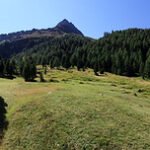 val zebru stelvio national park italy